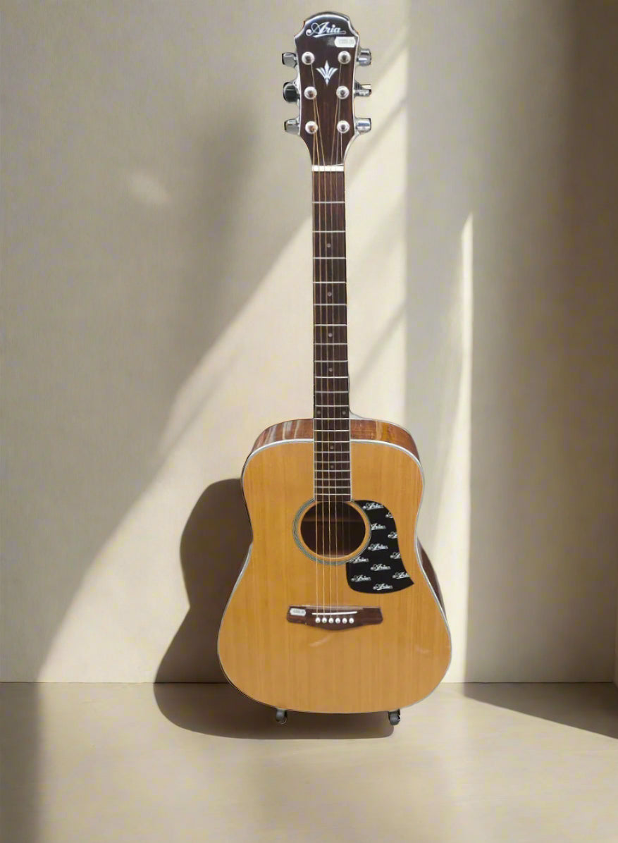 Aria SW200N Dreadnought Acoustic Guitar Solid Spruce with Pickguard RRP £329