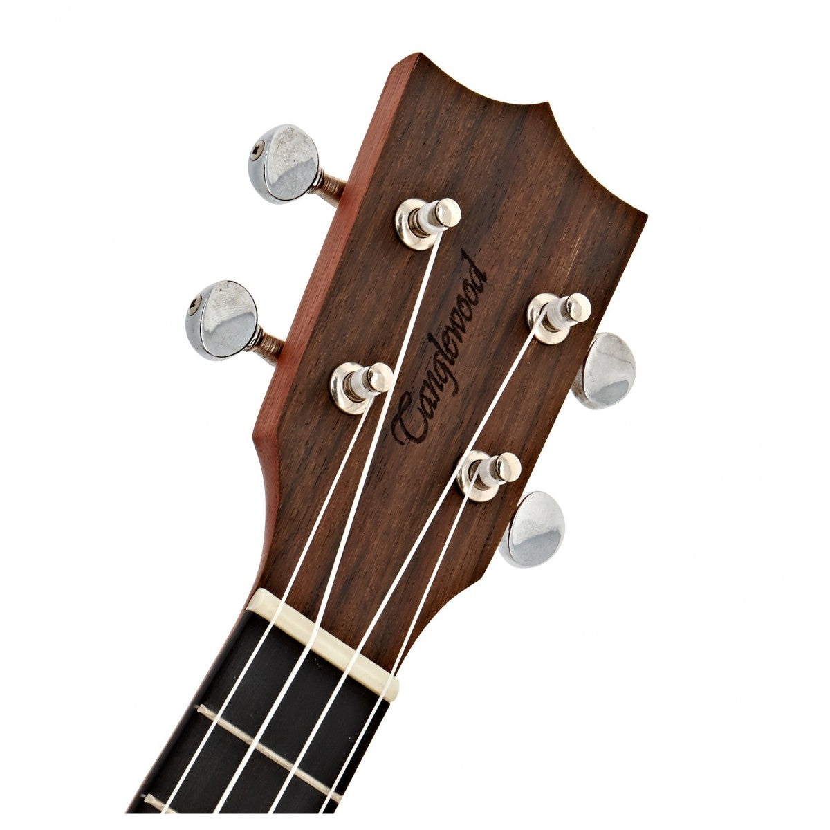 Tanglewood TWT21E Tiare Electro Acoustic Concert Ukulele | Natural Finish