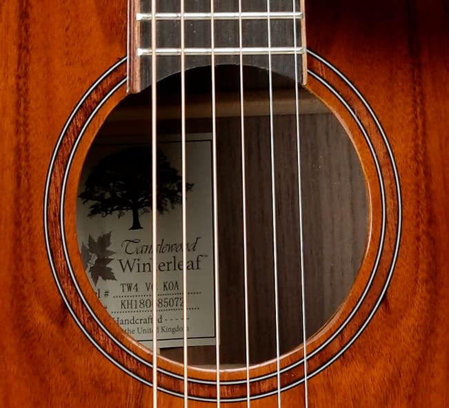 Tanglewood Dreadnought Electro Acoustic Guitar with Cutaway - Model TW4EVCKOA