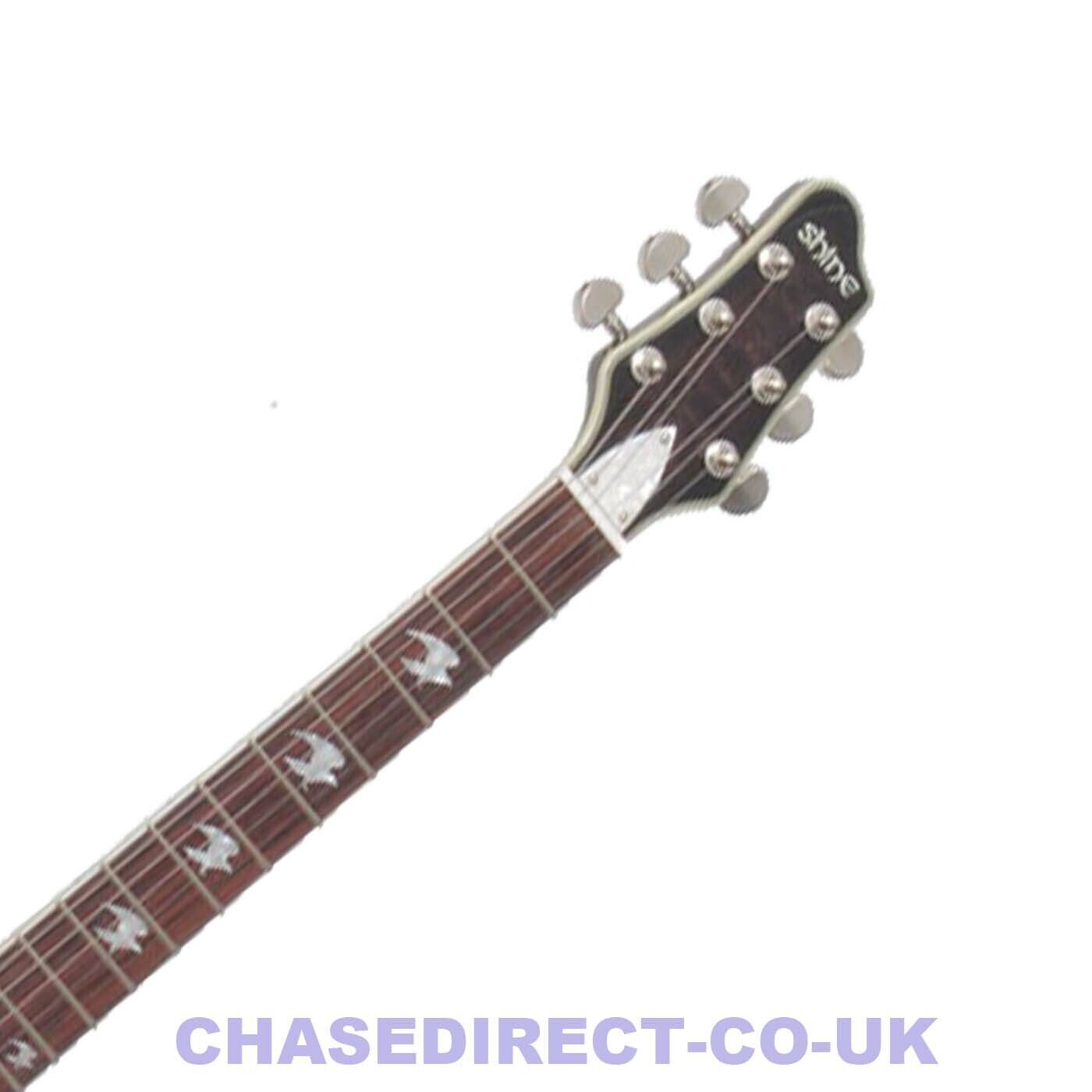 Electric Guitar Shine SIL510 BK Black With F Hole Cut Out Set In Neck  -