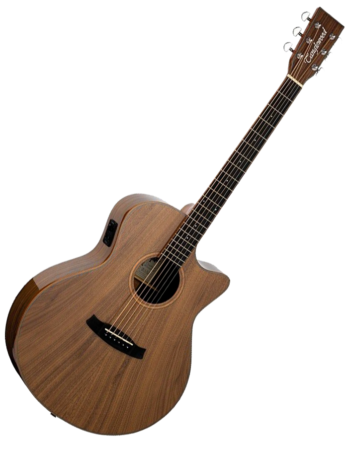 Tanglewood Winterleaf Electro Acoustic Venetian Cutaway Guitar - Model TW4EVCBW