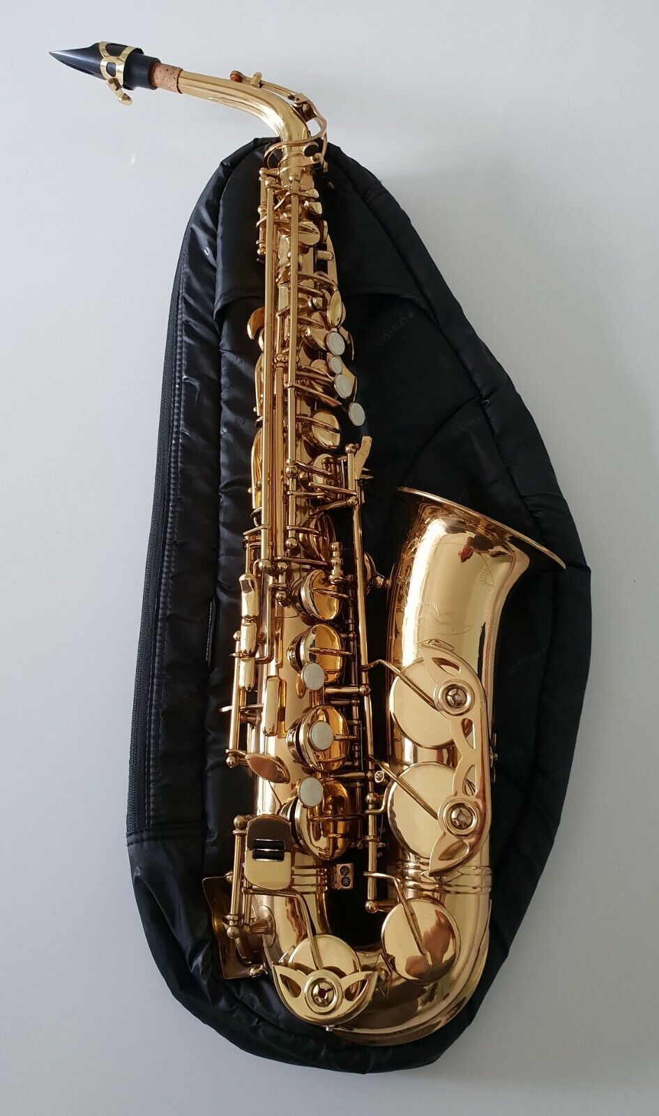 Alto Saxophone - Sax in Eb Gold Finish & Soft Case Complete Outfit By Chase - 1 | Excellent Condition | Mildly Used | Clearance Sale