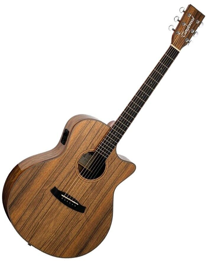 Tanglewood Winterleaf Electro Acoustic Venetian Cutaway Guitar Model TW4EVCPW