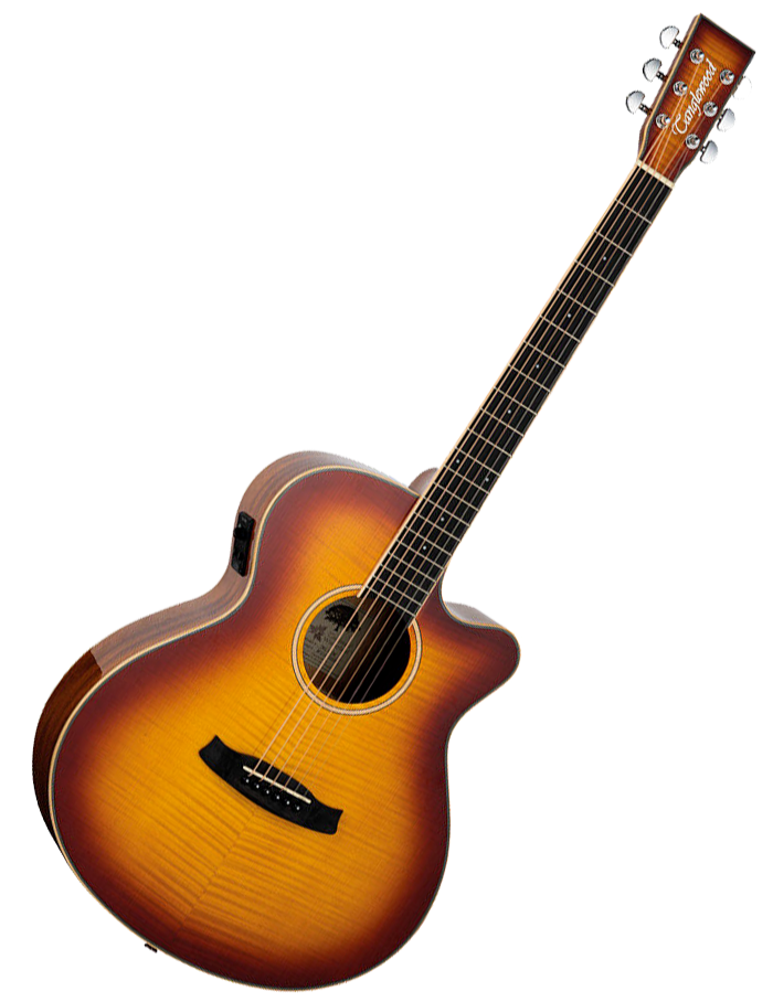 Tanglewood Winterleaf Cutaway Super Folk Electro Acoustic Guitar - Model TW4EFM
