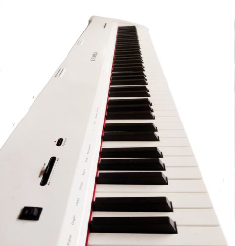Chase P-51 Digital Piano In Black or White - 88 Notes Fully Weighted Hammer Action Keys, USB Input & Piano Type Sustain Pedal. Also Compitable with 3 Pedal Unit - Sustain Pedal, Sostenuto Pedal & Soft Pedal - Watch The Demo Video