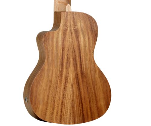 Tanglewood Tiare TWT 16E Concert Ukulele