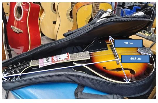 Mandolin Chase Gig Bag Soft Case with 10mm Padding & Shoulder Straps ;