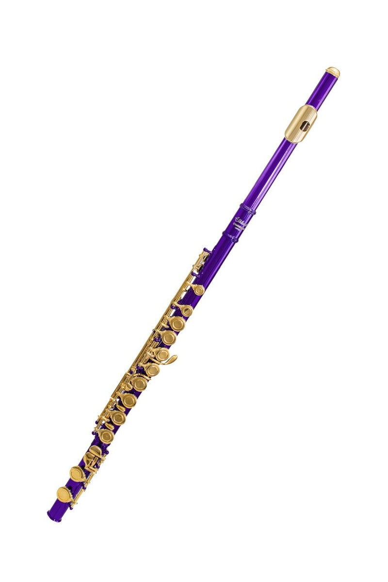 Elkhart Vincent Bach Purple Flute Pack | Spilt E Mechanism Offset G