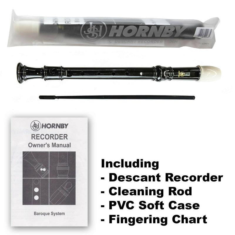 Recorder Learn To Play Hornby Descant School Classroom Recorder with Case 100H