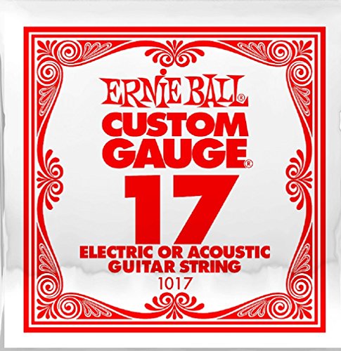 ERNIE BALL SIX PACK OF CUSTOM GAUGE 17-1017 - (P01017) -.017 Plain Steel - 6 pack of strings