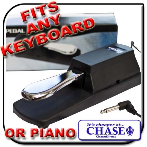 Piano Keyboard Sustain Pedal For Casio, Yamaha & More !