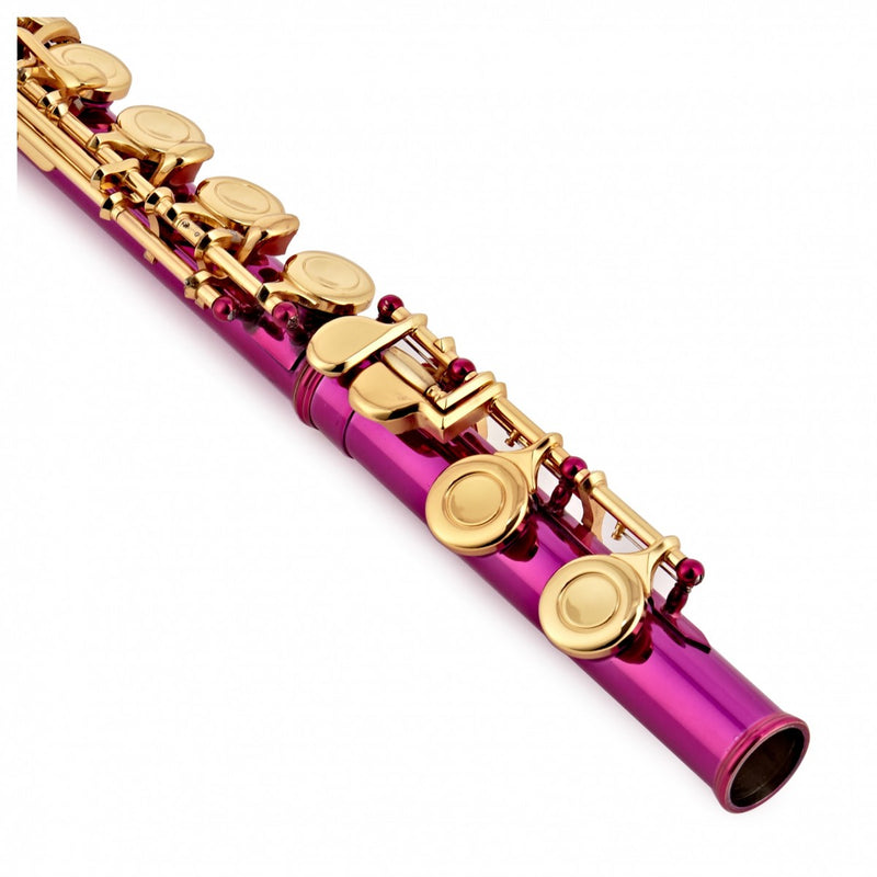 Elkhart by Vincent Bach Flute 100FLP with Case in Pink | Spilt E Mechanism Offset G - RRP £279 Buy Now in Sale At Half Price For £139 - Only Few Left!