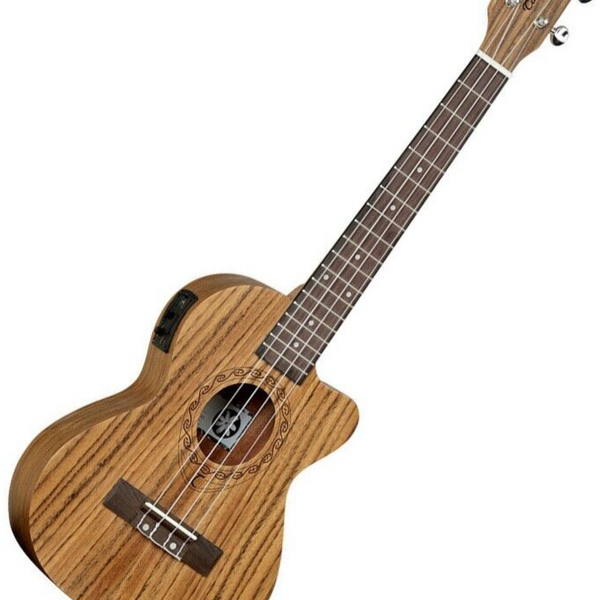 Tanglewood twt14e shop