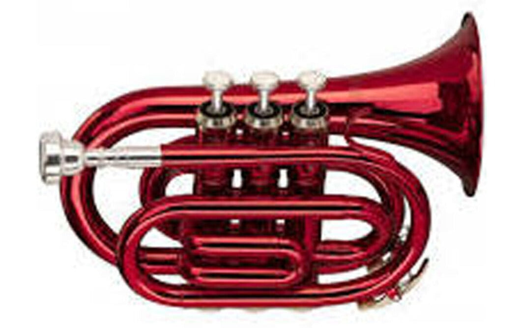 Trumpet Bb Pocket Trumpet  - Complete Outfit By Chase - Red