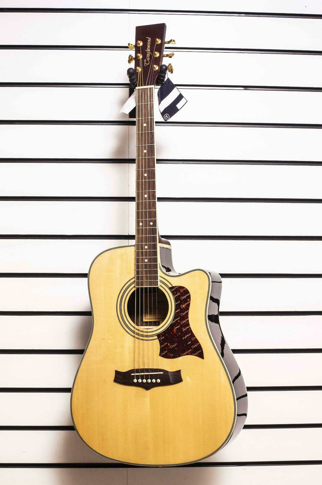 ギター Brown Sound Equation Amazon.com: Recording King Series 11 6 String Acoustic