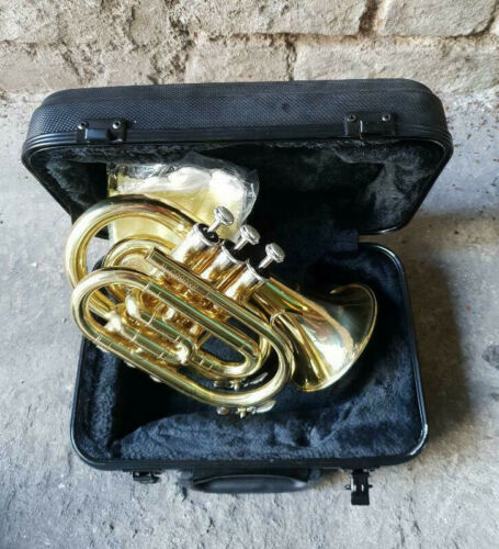 Trumpet Bb Pocket Trumpet  - Complete Outfit By Chase - Gold